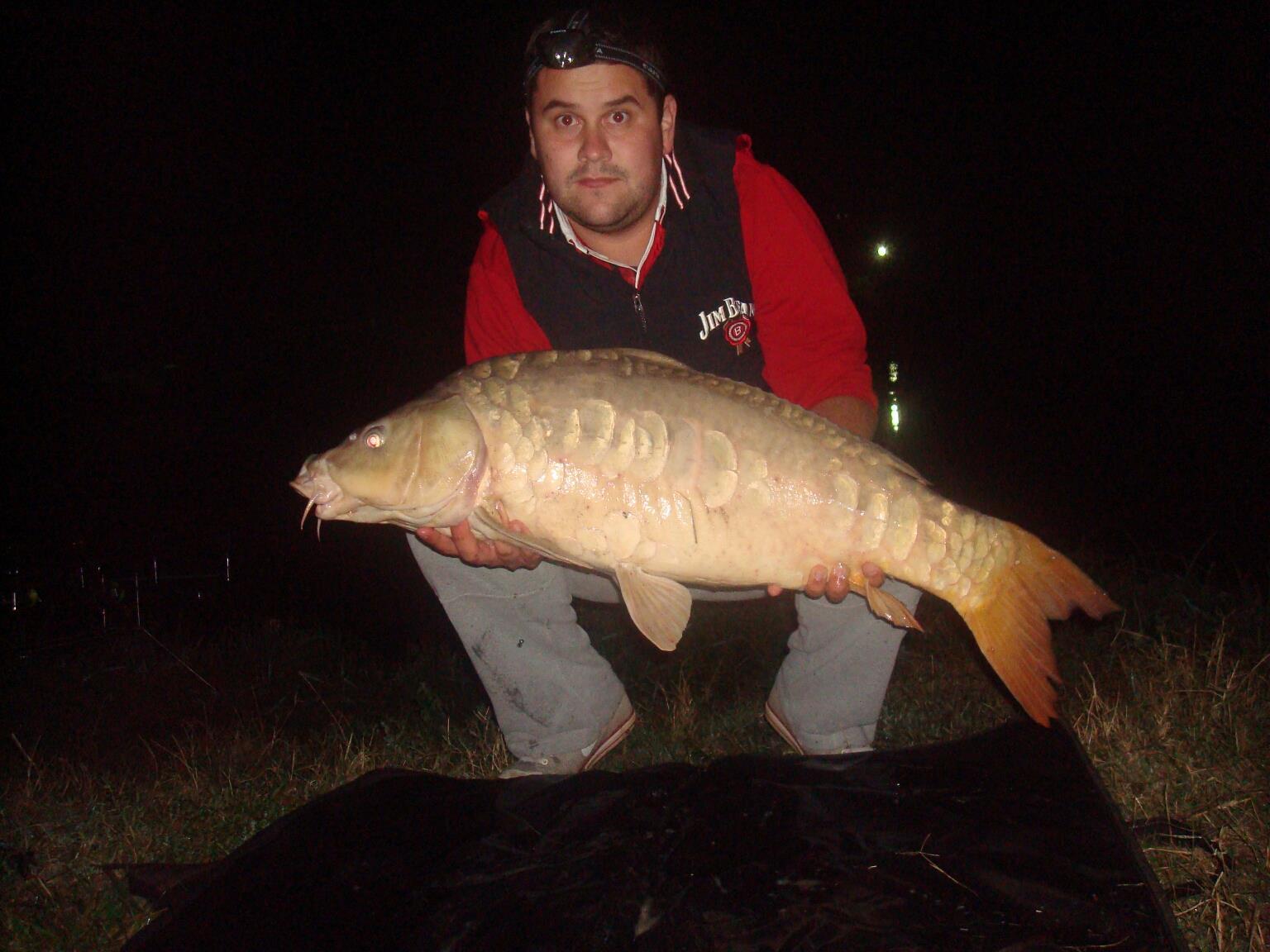 2012 - 209307_410605188993255_622317215_o.jpg